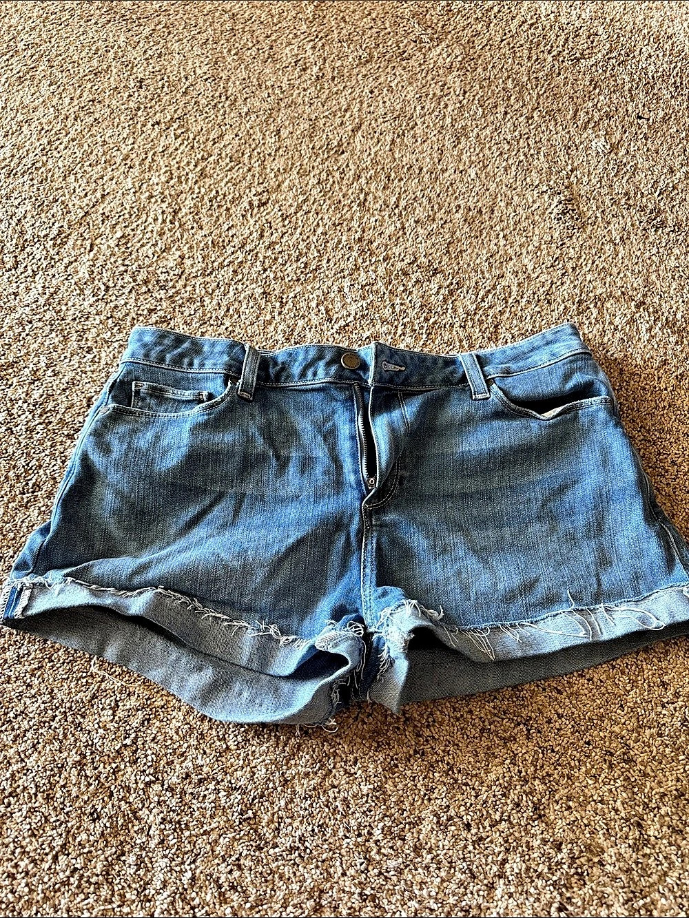 Paige Short Denim Shorts Waist 29